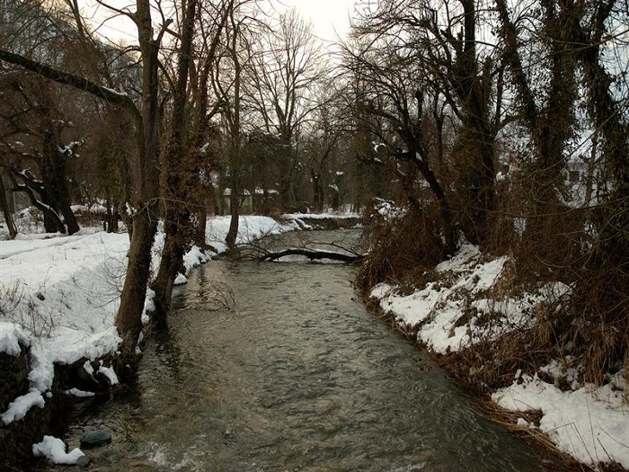 Photo Credit http://trawellguide.com/travel-guide-destination.php?id=14&title=Dachigam_National_park 