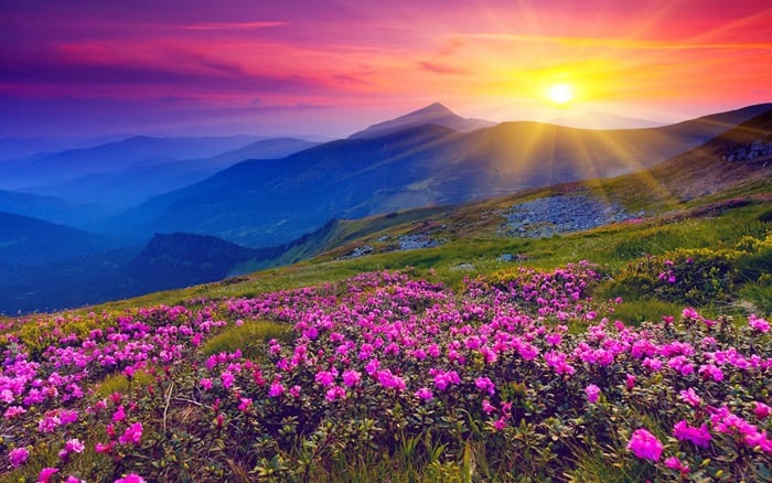  Photo Credit http://netdost.com/profiles/blogs/the-valley-of-flowers-in-uttarakhand-india-is-beautiful