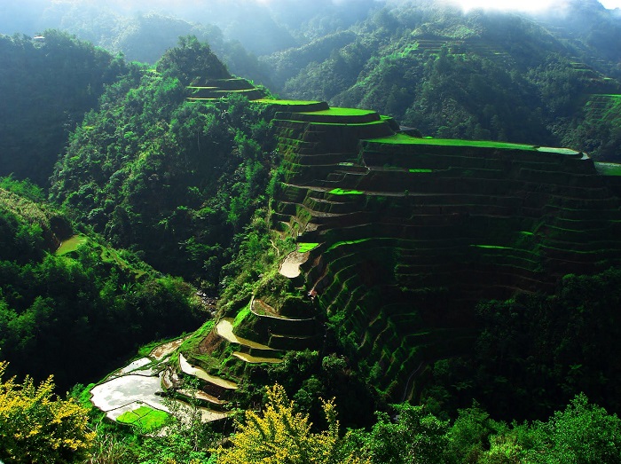  Photo Credit  http://www.playbull.com/beautiful-places/banaue-rice-terraces-philippines/