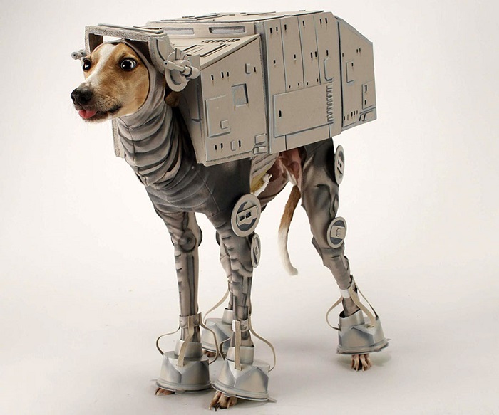 Photo Credit http://www.thisiswhyimbroke.com/at-at-star-wars-dog-costume