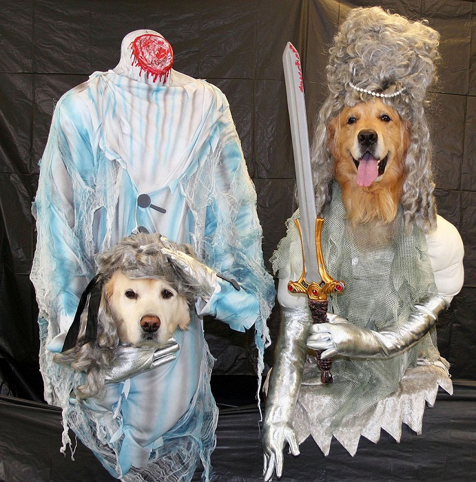 Photo Credit https://www.rover.com/blog/terrifying-dog-costumes/