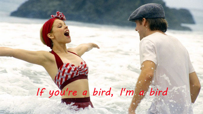 the notebook movie 720p hd free