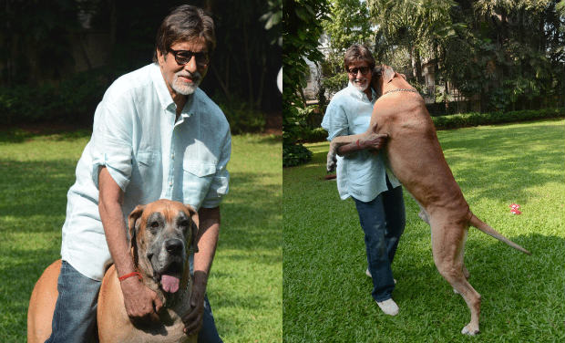 Photo Credit http://archives.deccanchronicle.com/sites/default/files/mediaimages/gallery/2013/May/amitabh.jpg.jpg 
