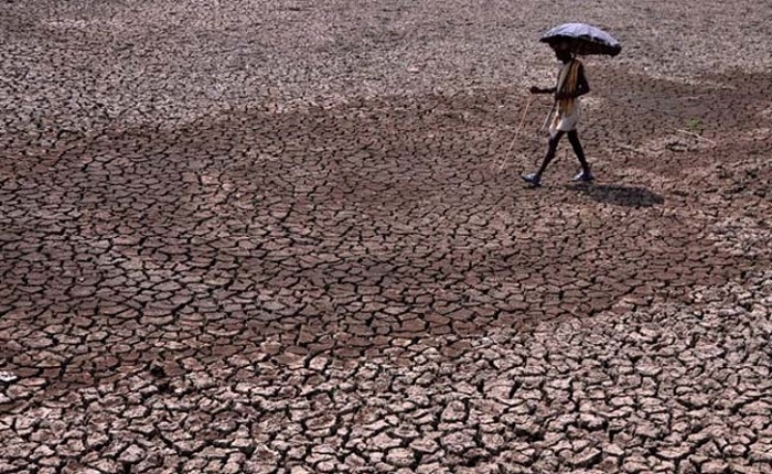 Image Source  http://inhabitat.com/indias-scorching-month-long-heatwave-kills-1400-and-melts-the-streets/agence-france-presse/