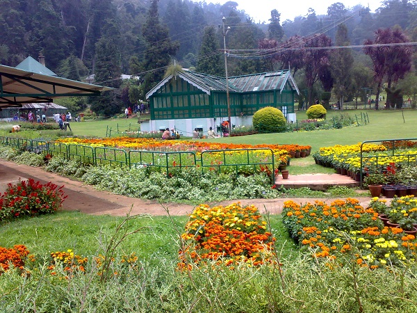 Photo Credit  http://en.wikipedia.org/wiki/Government_Botanical_Gardens,_Ooty