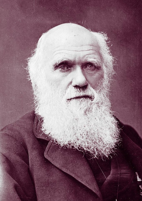  Photo Credit http://www.micropia.nl/en/discover/microbiology/Charles-Darwin/