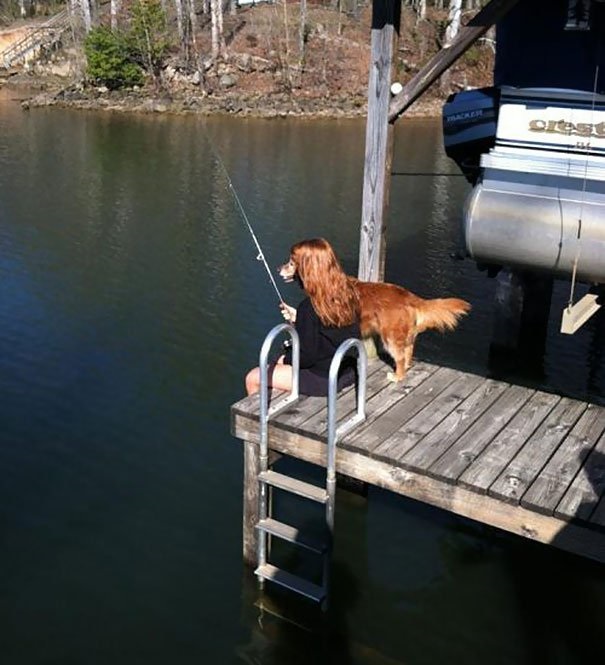 Photo Credit:http://pulptastic.com/28-perfectly-timed-dog-photos/ 