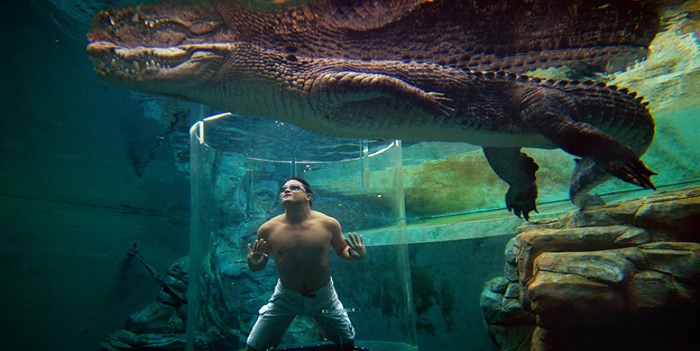 Photo Credit: http://www.vicespy.com/darwin-crocosaurus-cove-cage-of-death/